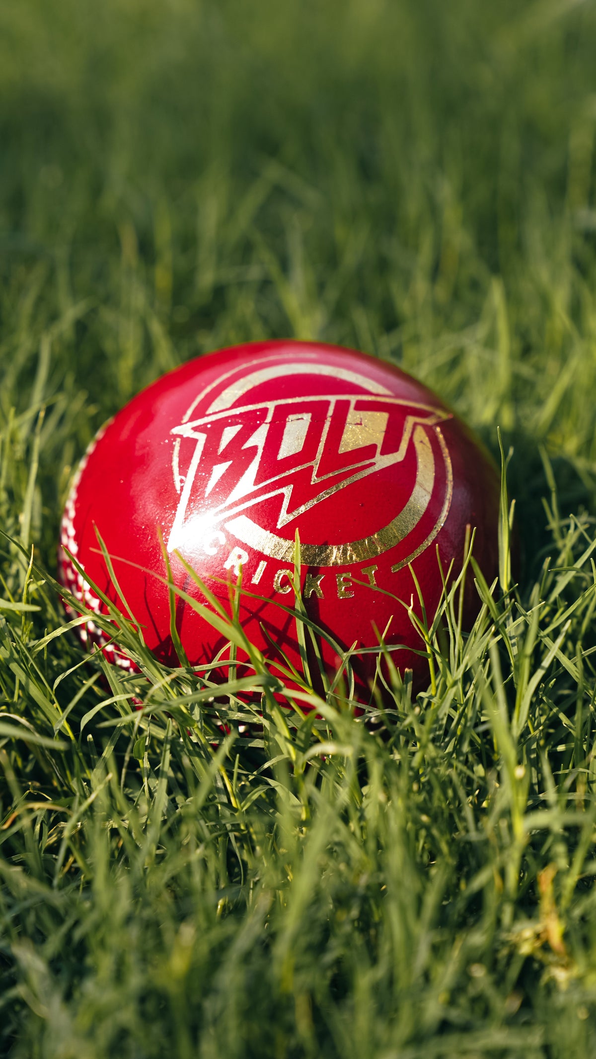 Cricket Balls