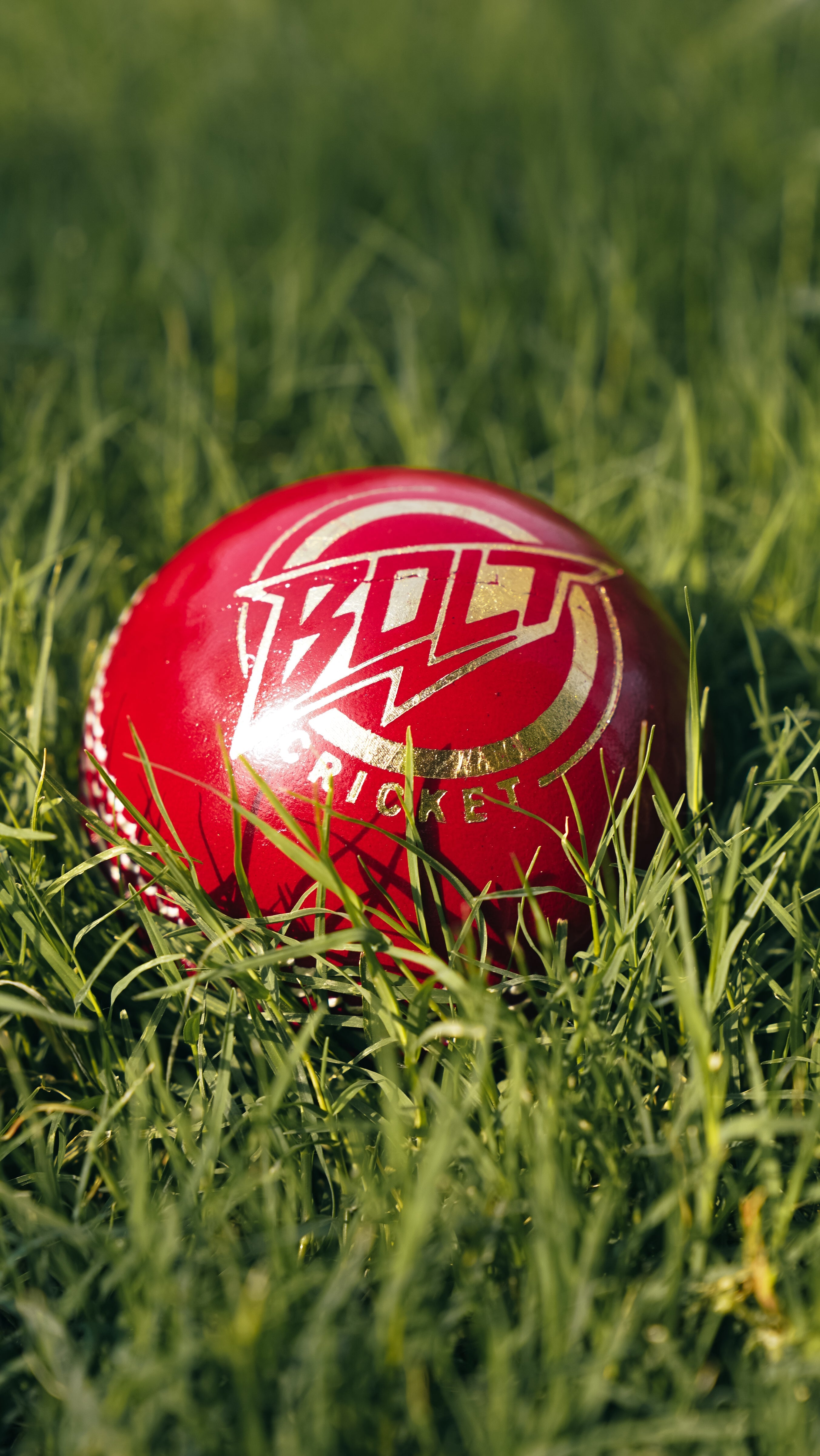 Cricket Balls