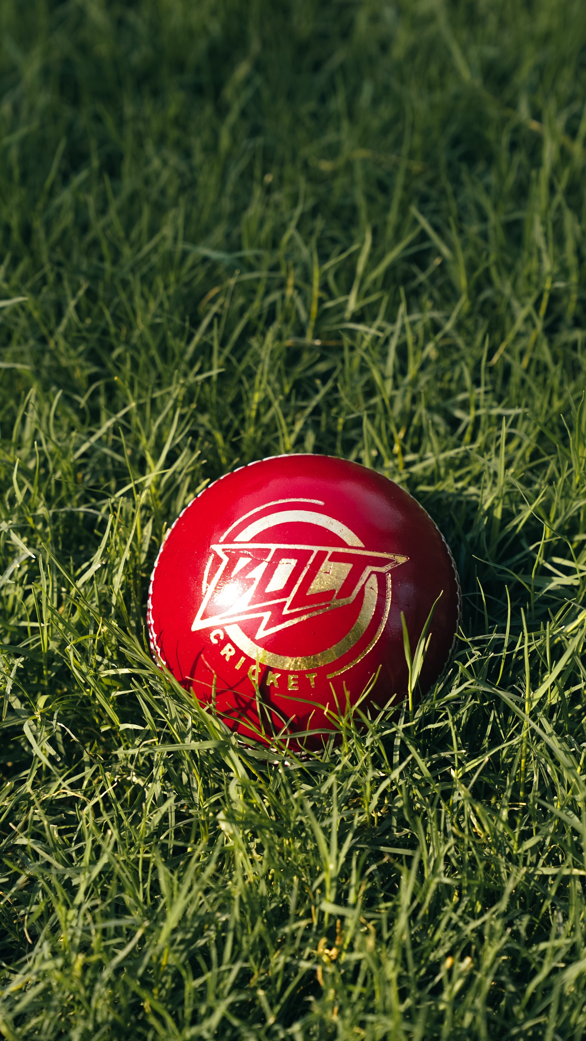 Bolt Enduro Leather Ball
