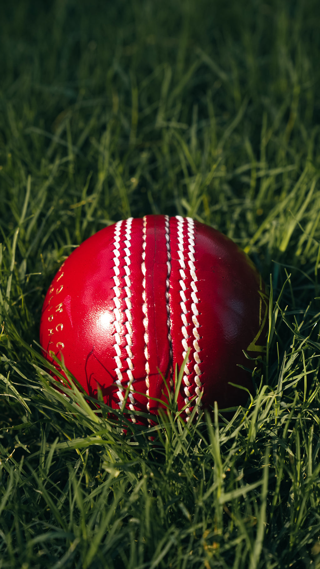 Bolt Striker Leather Ball