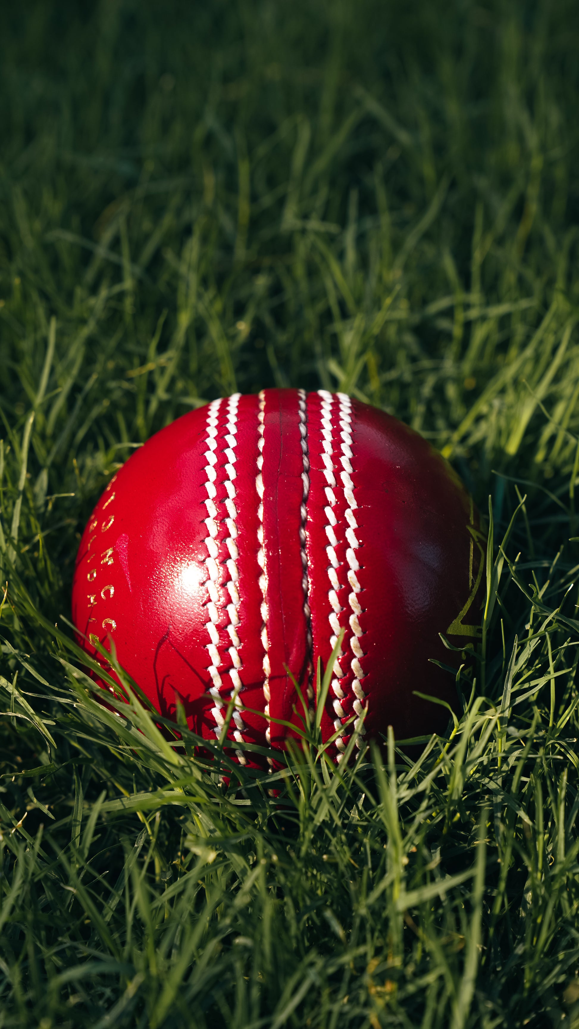 Bolt Striker Leather Ball