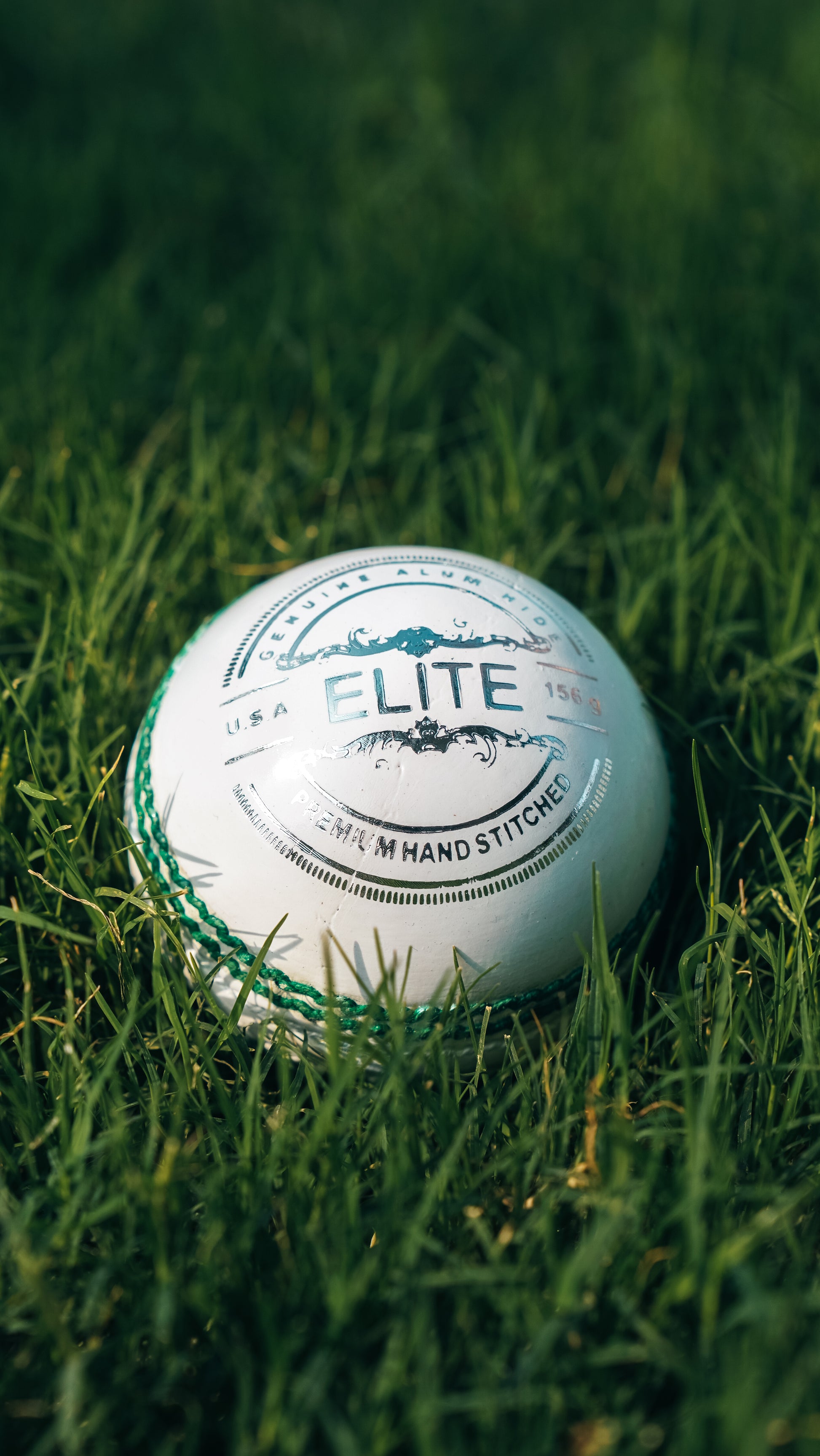 Bolt Elite Leather Ball