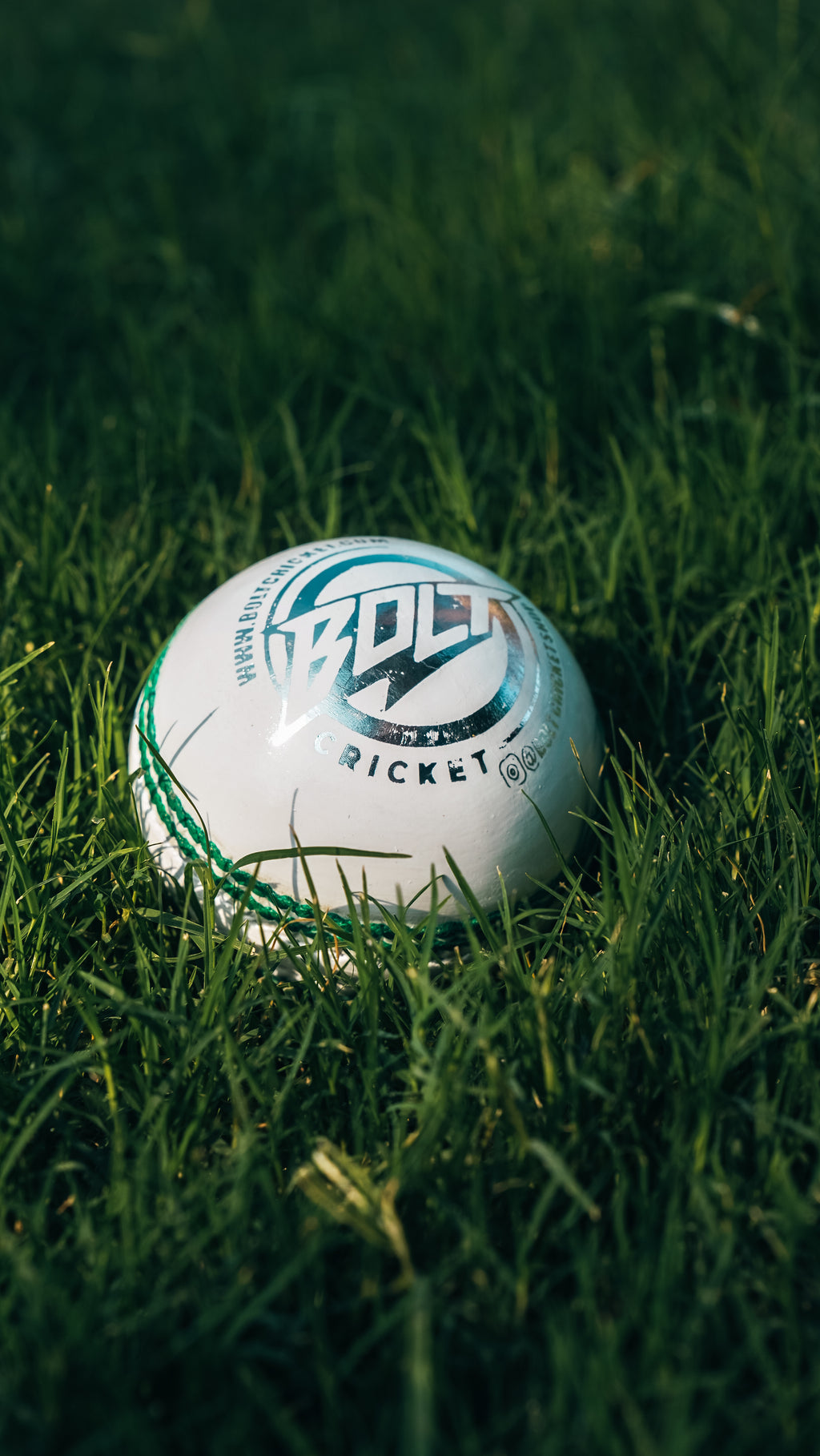 Bolt Enduro Leather Ball