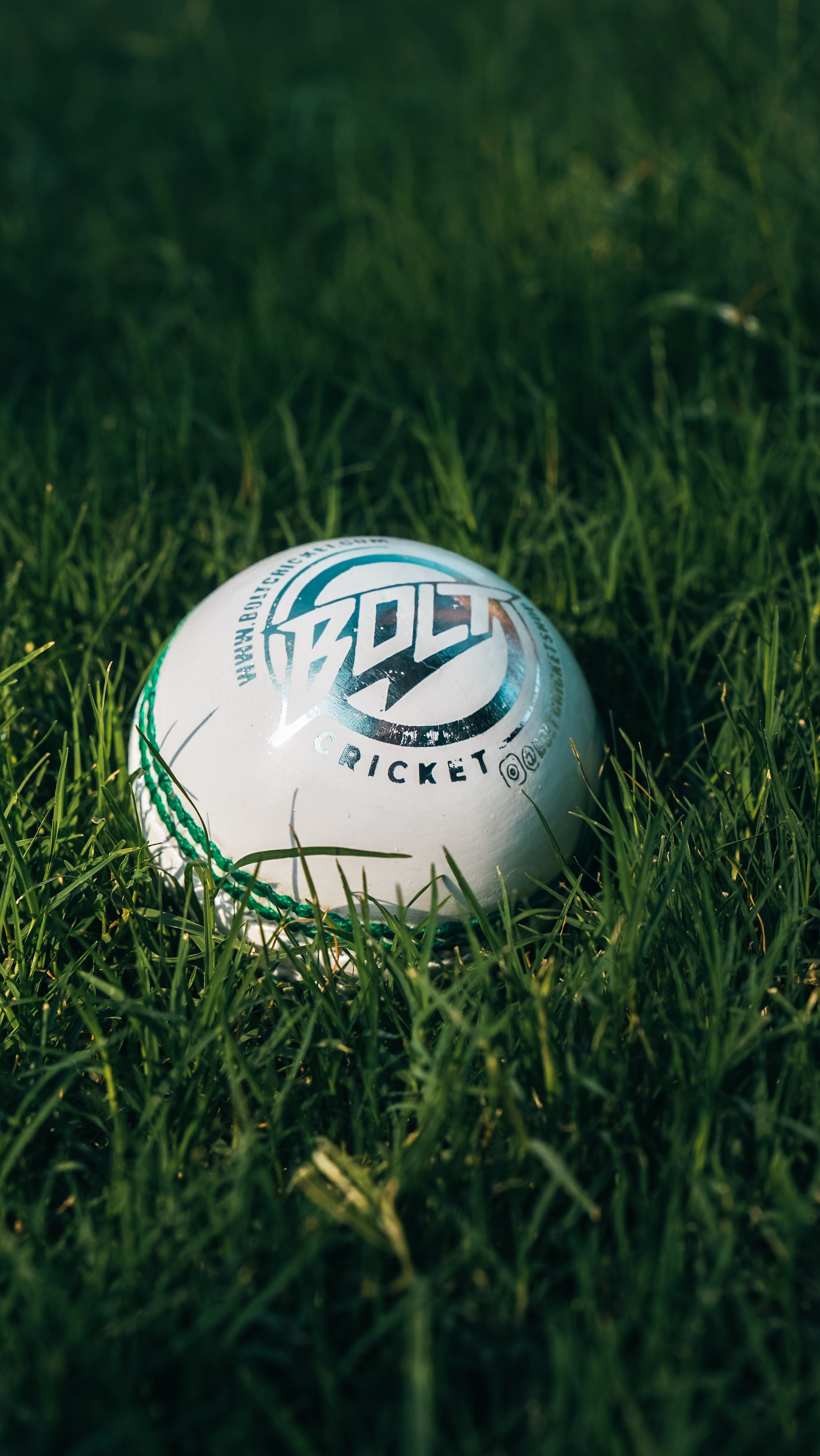 Bolt Enduro Leather Ball