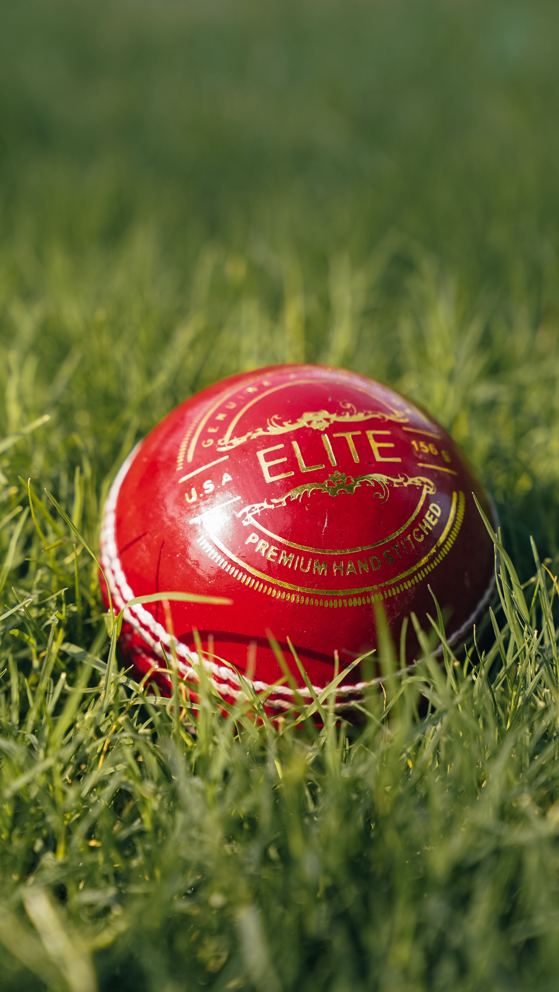 Bolt Elite Leather Ball